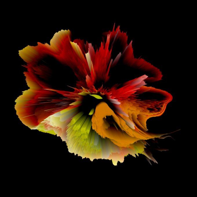 COLLECTION SUBLIME 13 - 54x54