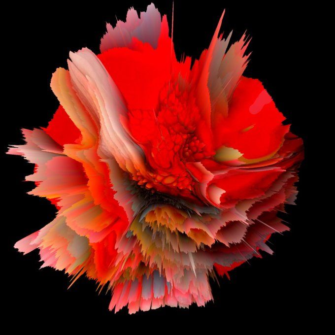 COLLECTION SUBLIME 16 - 54x54