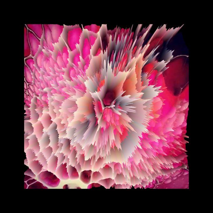 COLLECTION SUBLIME - 4      49x49