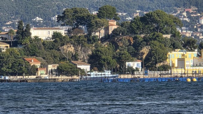 ATELIER SWIPE - BLOOM - VENDREDI 12 JUIN 2026  9H00 / 12H00 