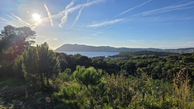 ATELIER SWIPE - DUTCH - VENDREDI 10 AVRIL 2026  14H00 / 17H00 